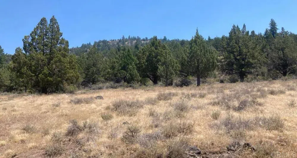 Glacier Dr Lot 12 Alturas, CA 96101