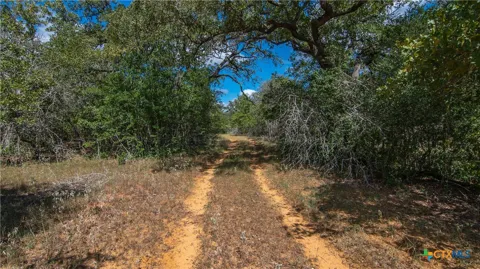 County Road 434