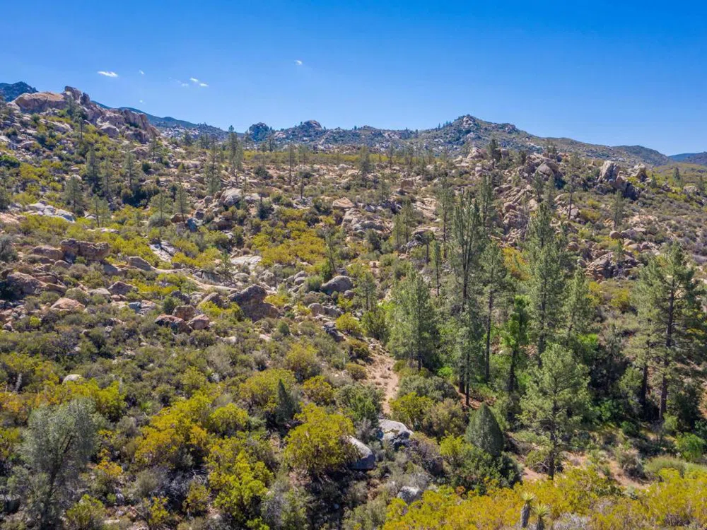 60833 Table Mountain Rd Mountain Center, CA 92561