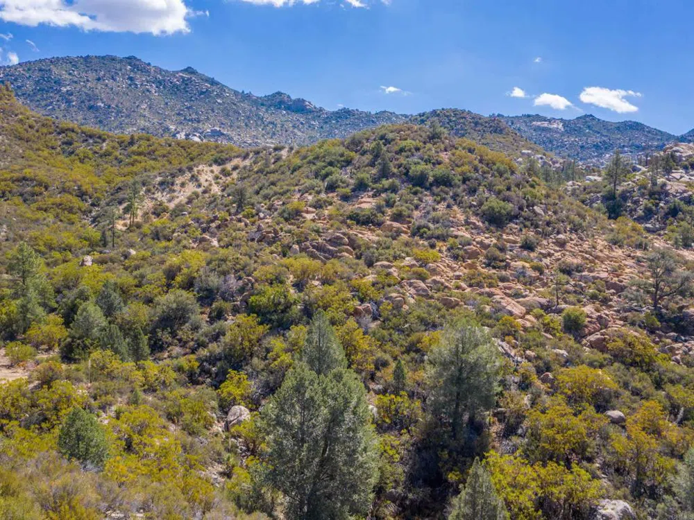 60833 Table Mountain Rd Mountain Center, CA 92561