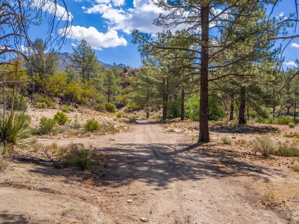 60833 Table Mountain Rd Mountain Center, CA 92561
