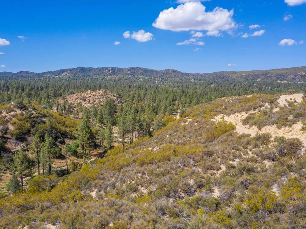 60833 Table Mountain Rd Mountain Center, CA 92561