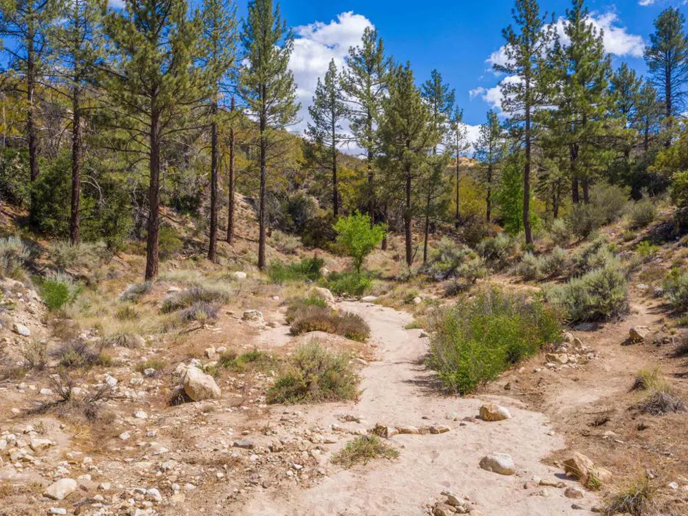 60833 Table Mountain Rd Mountain Center, CA 92561