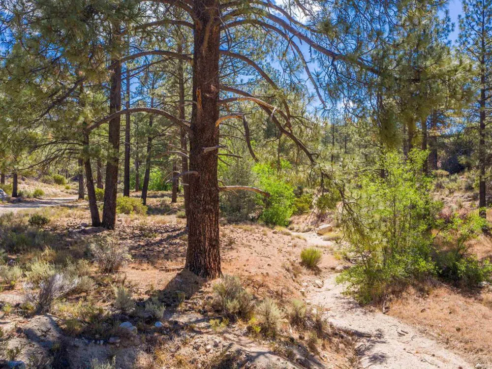 60833 Table Mountain Rd Mountain Center, CA 92561