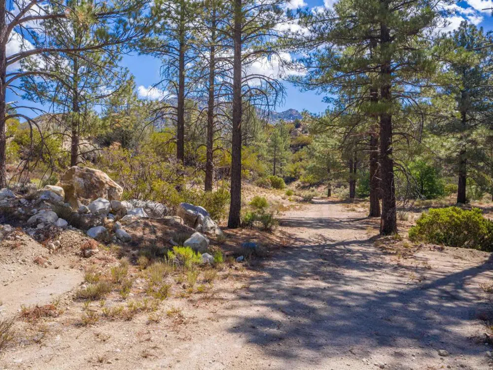 60833 Table Mountain Rd Mountain Center, CA 92561