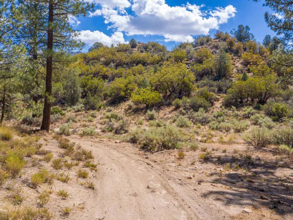 60833 Table Mountain Rd Mountain Center, CA 92561