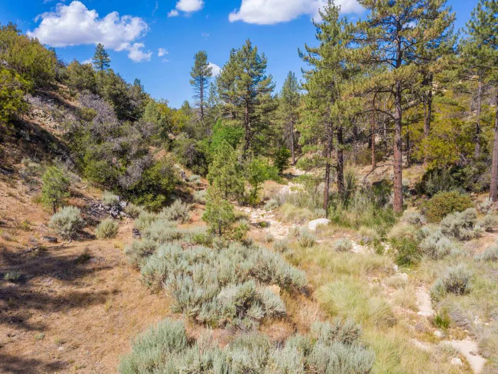 60833 Table Mountain Rd Mountain Center, CA 92561