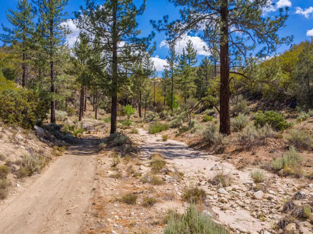 60833 Table Mountain Rd Mountain Center, CA 92561