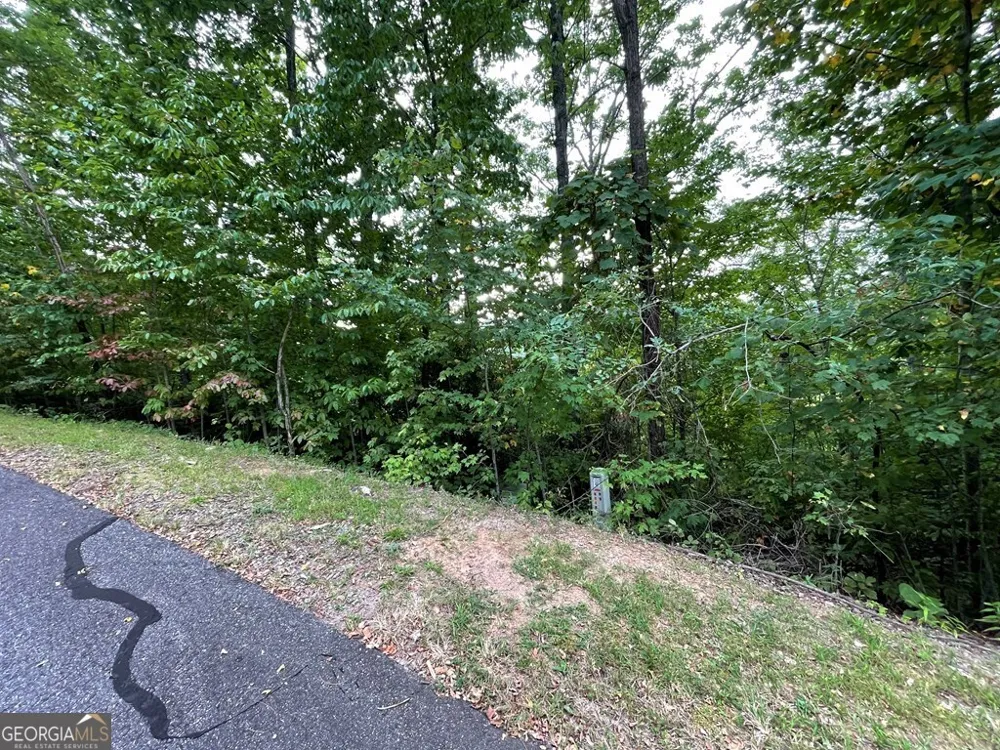 LOT 32 J Mountain Harbour Hayesville, NC 28904