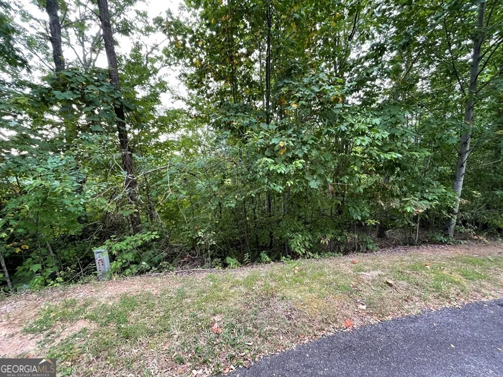 LOT 32 J Mountain Harbour Hayesville, NC 28904