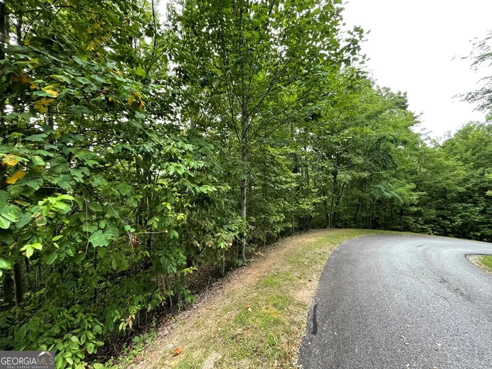 LOT 32 J Mountain Harbour Hayesville, NC 28904