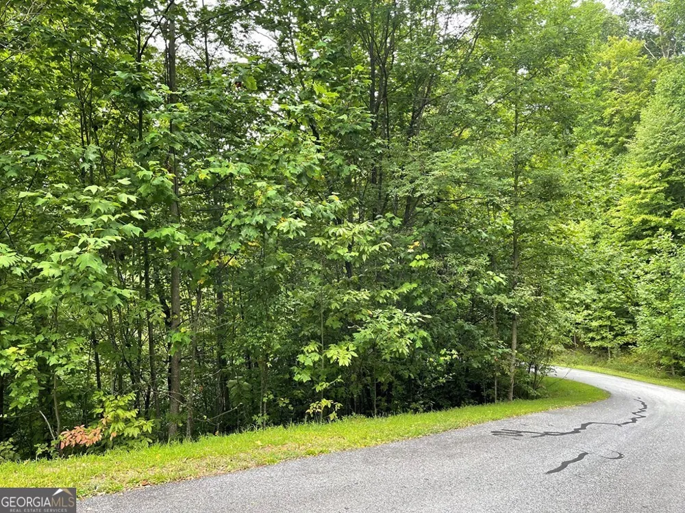LOT 32 J Mountain Harbour Hayesville, NC 28904