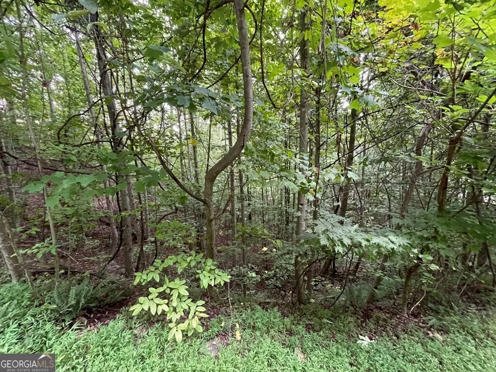 LOT 32 J Mountain Harbour Hayesville, NC 28904