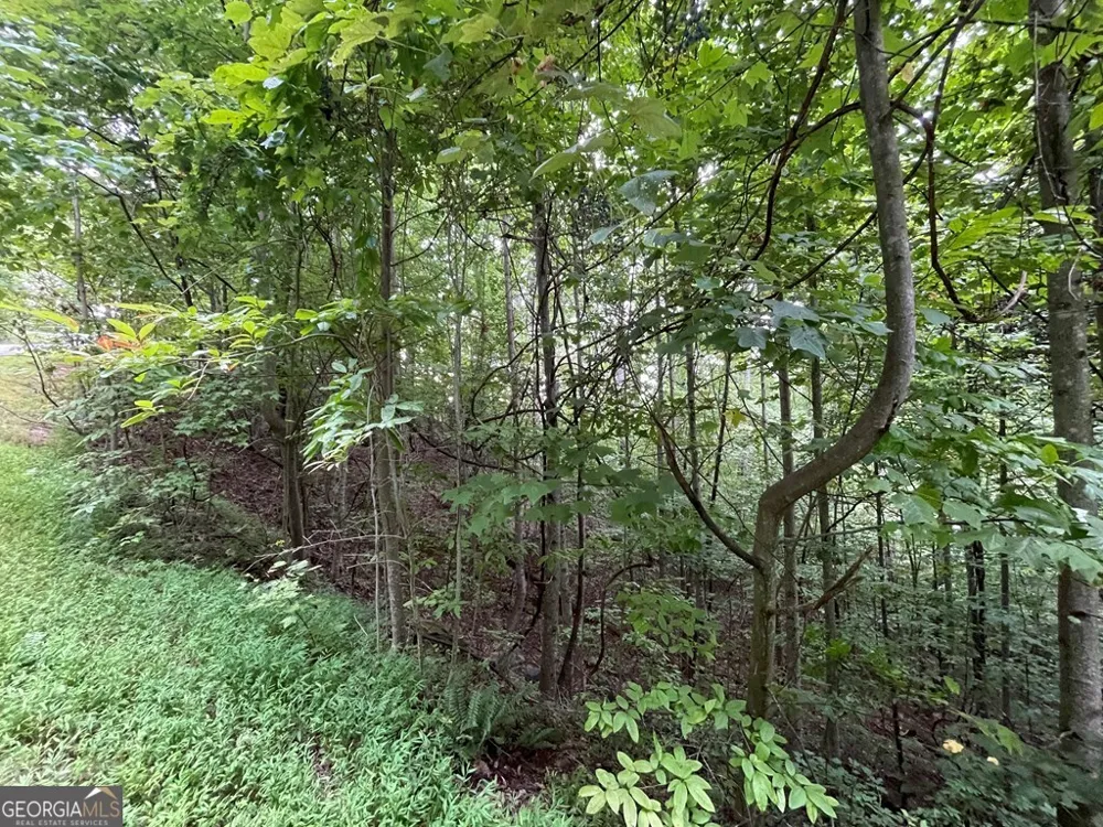 LOT 32 J Mountain Harbour Hayesville, NC 28904