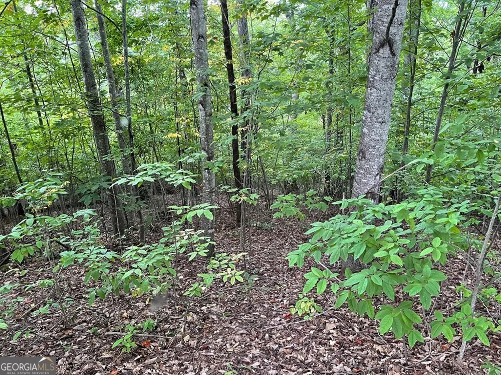 LOT 32 J Mountain Harbour Hayesville, NC 28904