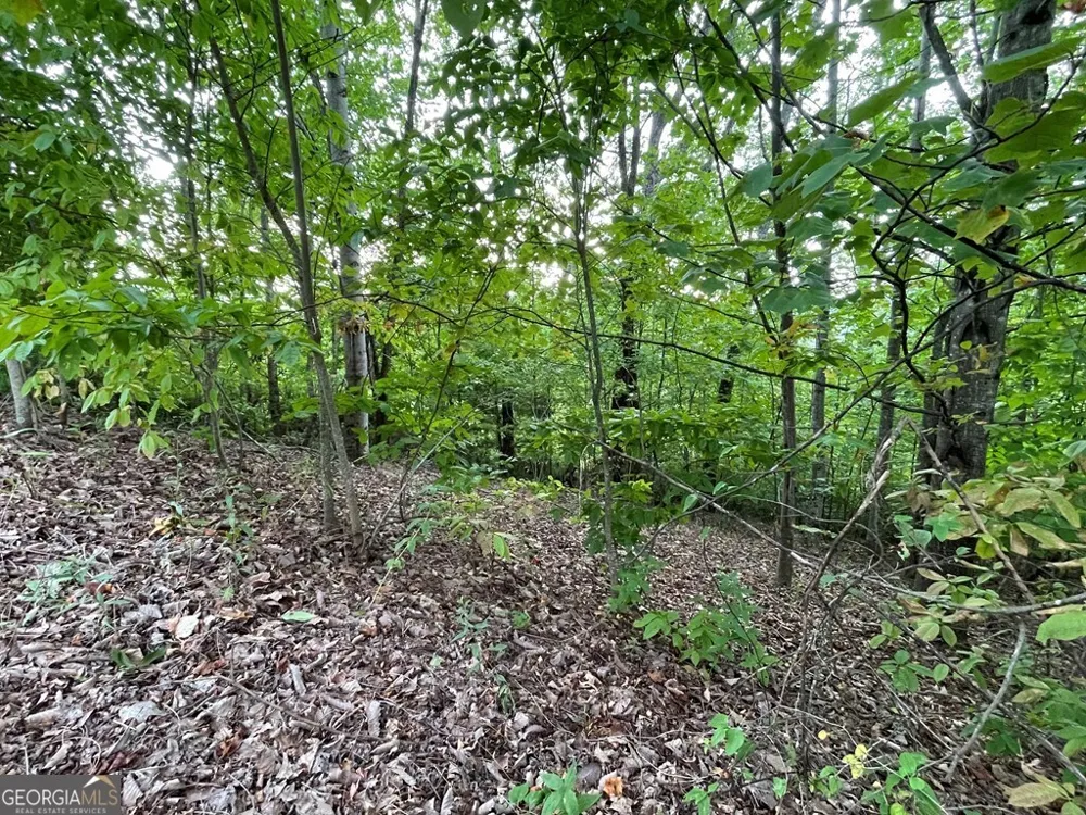 LOT 32 J Mountain Harbour Hayesville, NC 28904