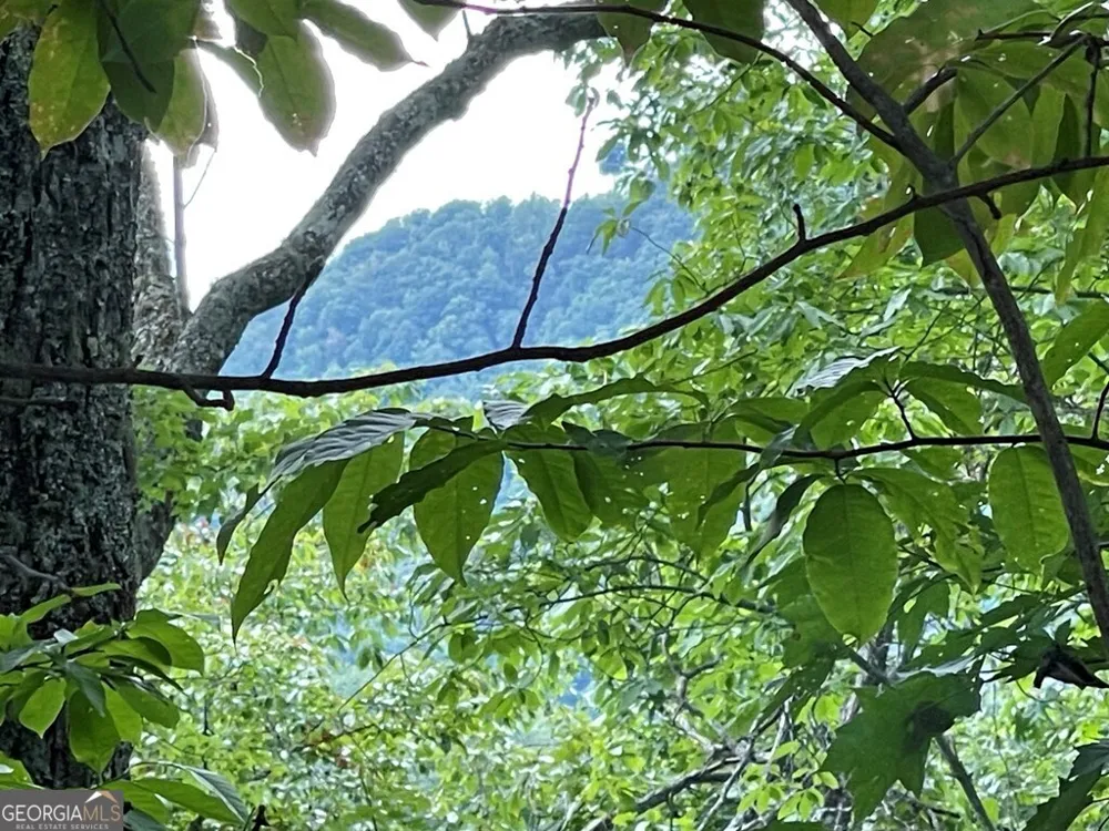 LOT 32 J Mountain Harbour Hayesville, NC 28904