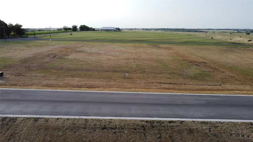 216 Tigerlily Way Thrall, TX 76578