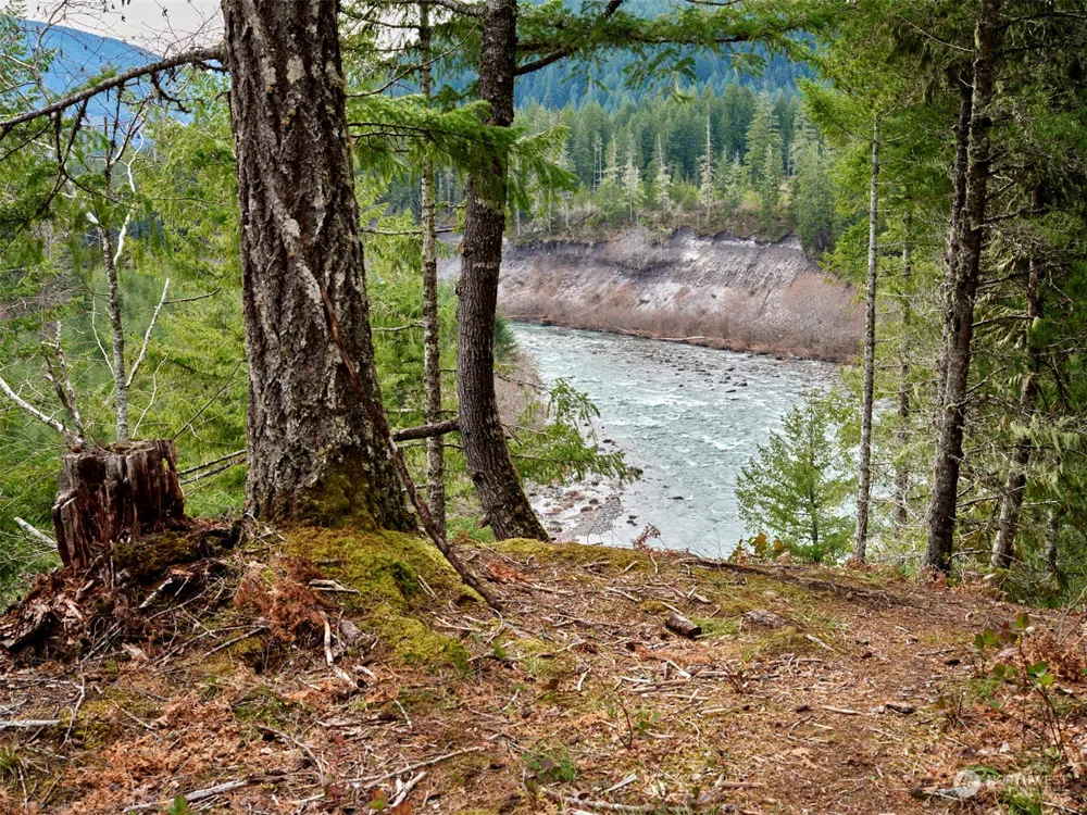 2 Lahar Lane Cougar, WA 98616