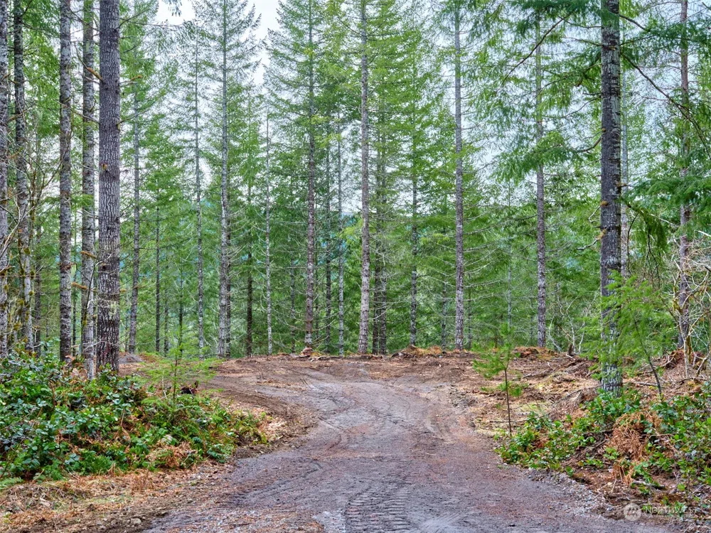 2 Lahar Lane Cougar, WA 98616