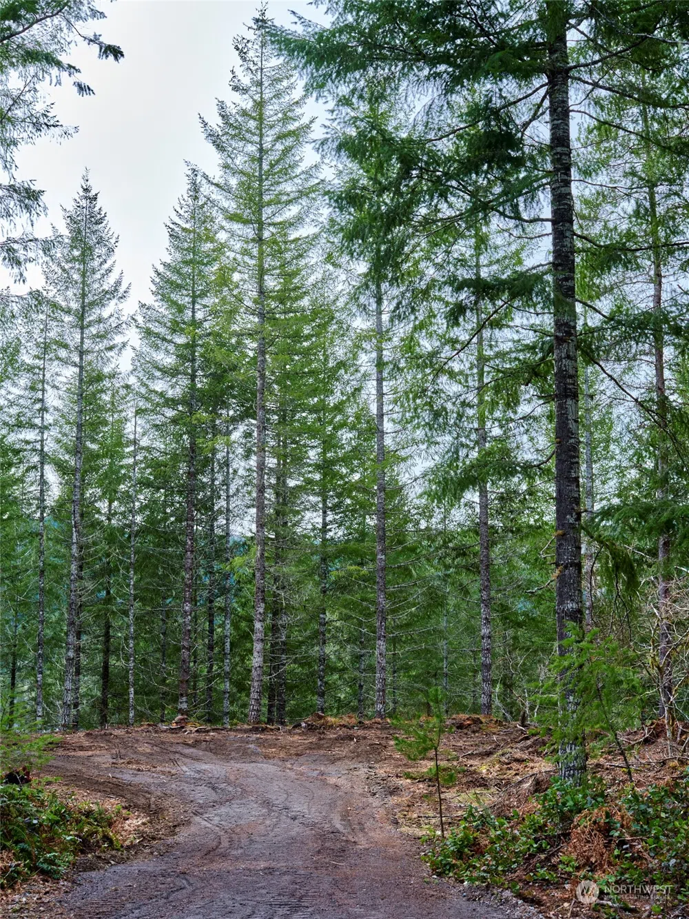 2 Lahar Lane Cougar, WA 98616
