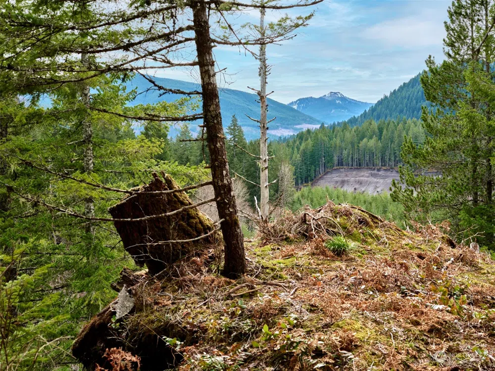 2 Lahar Lane Cougar, WA 98616