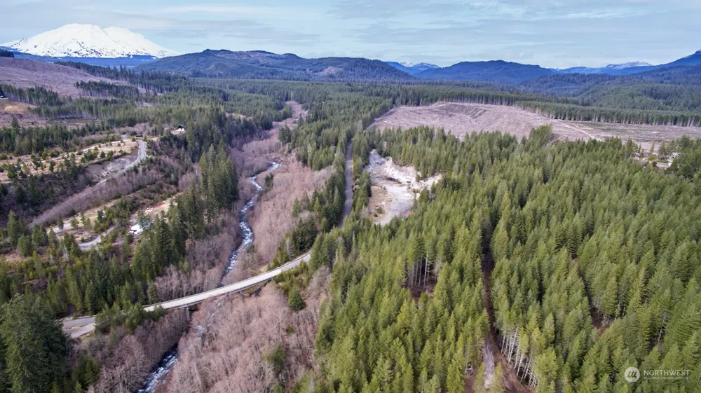 2 Lahar Lane Cougar, WA 98616