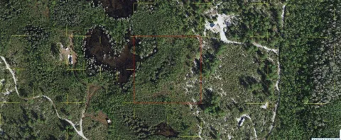 HOLOPAW GROVES ROAD