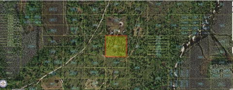 HOLOPAW GROVES ROAD