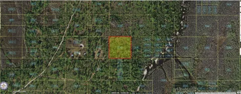 HOLOPAW GROVES ROAD