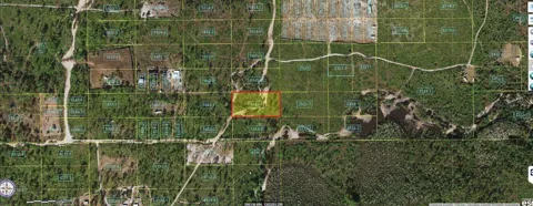 HOLOPAW GROVES ROAD