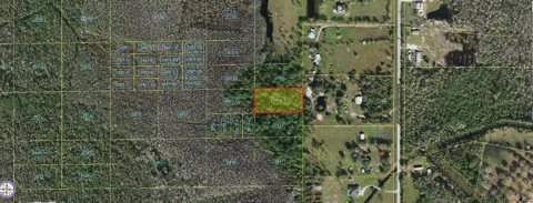 HOLOPAW GROVES ROAD
