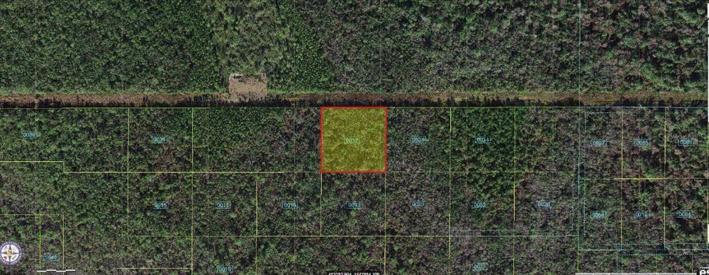 ROBIN TRAIL Kissimmee, FL 34747