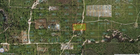 HOLOPAW GROVES ROAD