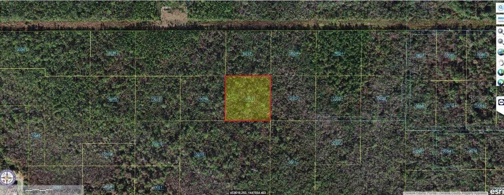 ROBIN TRAIL Kissimmee, FL 34747