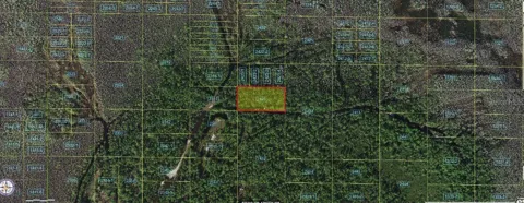 HOLOPAW GROVES ROAD