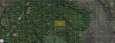 HOLOPAW GROVES ROAD