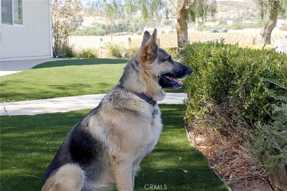10262 Sierra Highway Agua Dulce, CA 91390