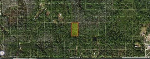HOLOPAW GROVES ROAD