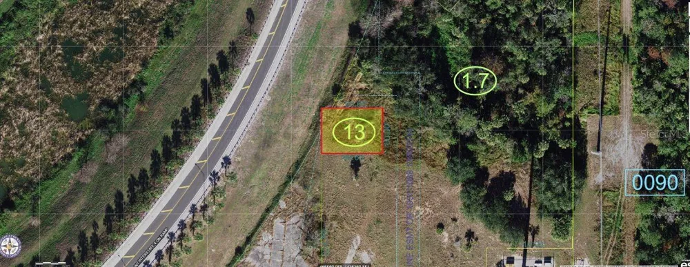 OLD LAKE WILSON ROAD Kissimmee, FL 34747