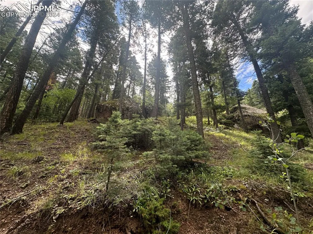 272 Fern Valley Road Manitou Springs, CO 80829