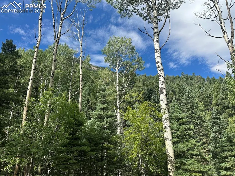 272 Fern Valley Road Manitou Springs, CO 80829