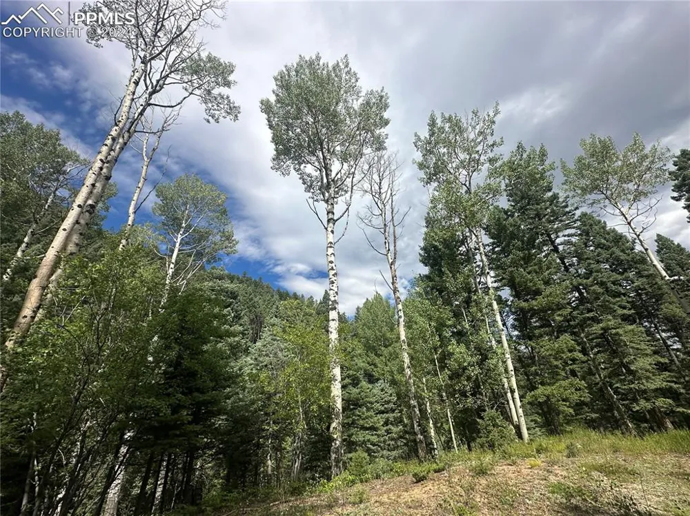 272 Fern Valley Road Manitou Springs, CO 80829