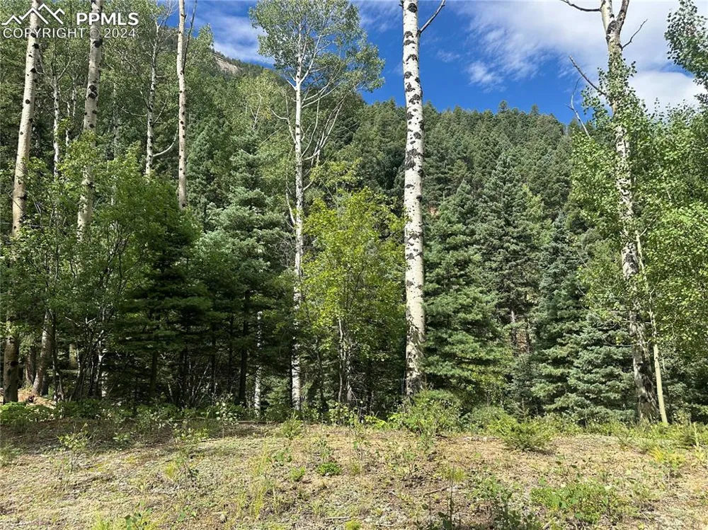 272 Fern Valley Road Manitou Springs, CO 80829