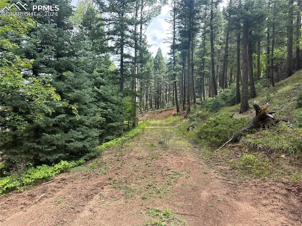 272 Fern Valley Road Manitou Springs, CO 80829