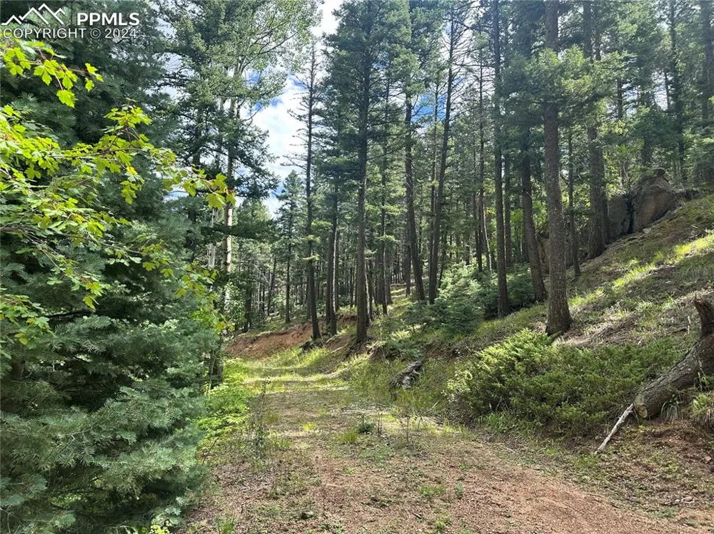 272 Fern Valley Road Manitou Springs, CO 80829