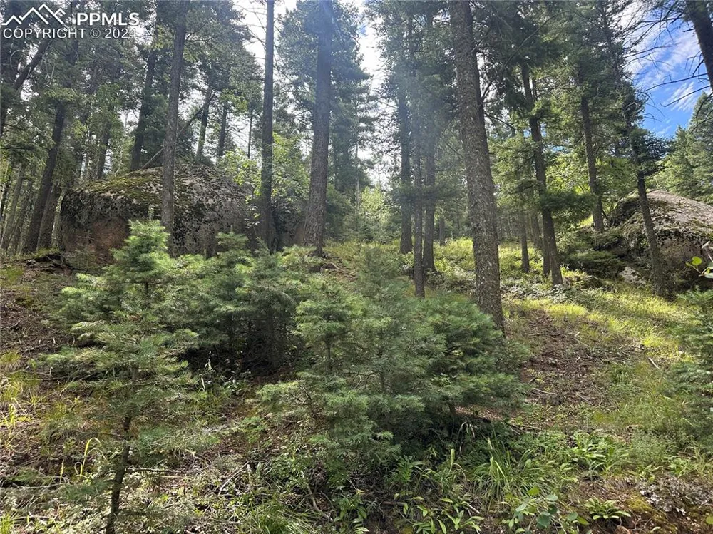 272 Fern Valley Road Manitou Springs, CO 80829