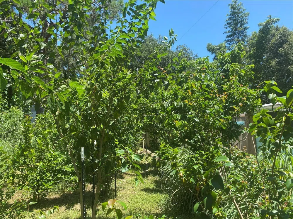 456 WASHINGTON AVENUE Osprey, FL 34229