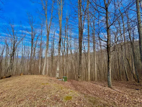 57 Rocky Knob Estates
