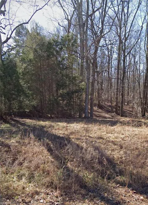 605 Scotts Glen Drive